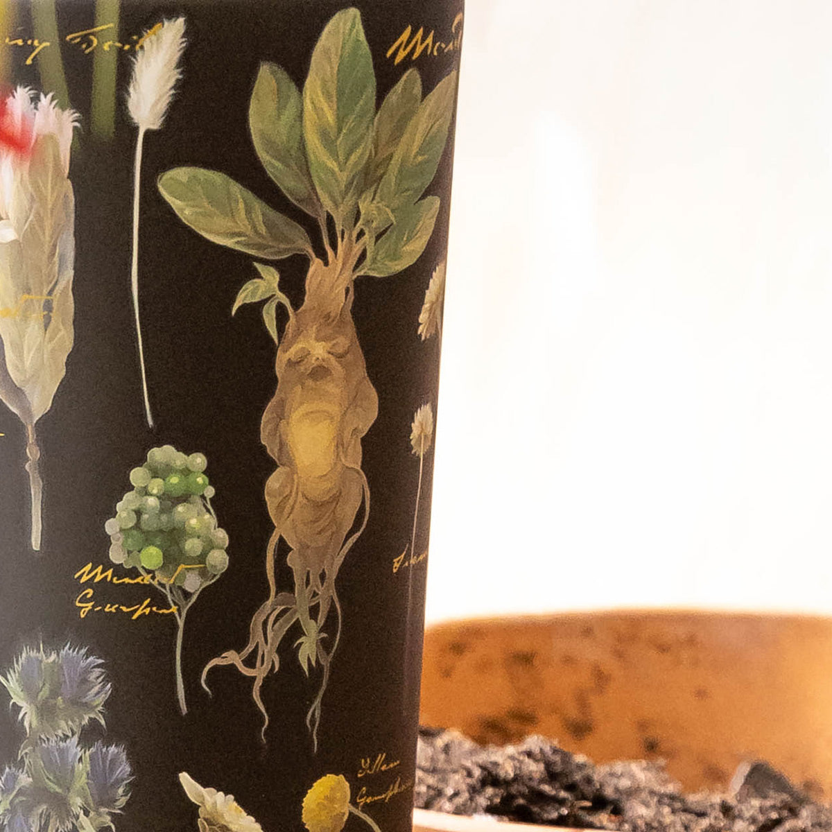 harry-potter-cold-cup-a6 Herbology-3.jpg